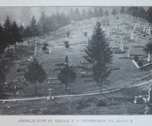 1915 St. Nicholas Cemetery, Hahn Road, Pittsburgh - Section A